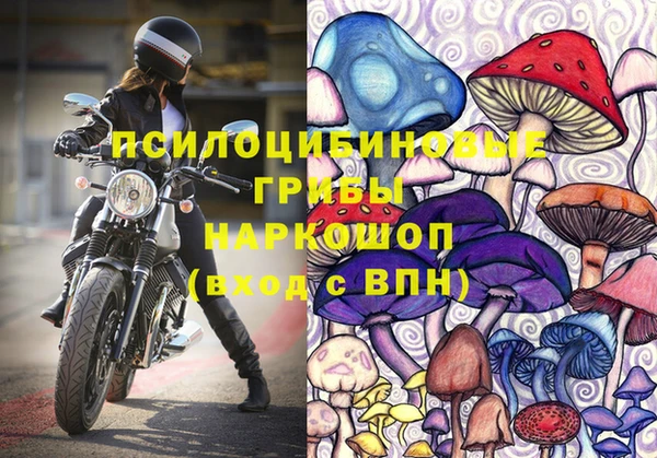 прущие крисы Белокуриха